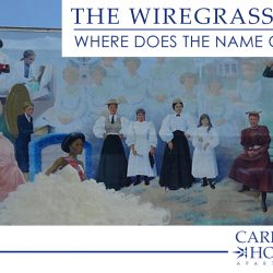 the Wiregrass Region