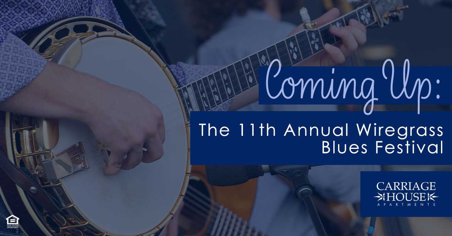 Coming Up: The 11th Annual Wiregrass Blues Festival