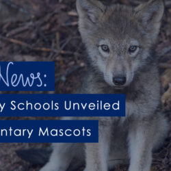 Dothan City Schools unveiled new elementary mascots